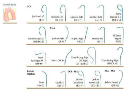 Introducing Angiographic Catheter And Guide Catheter